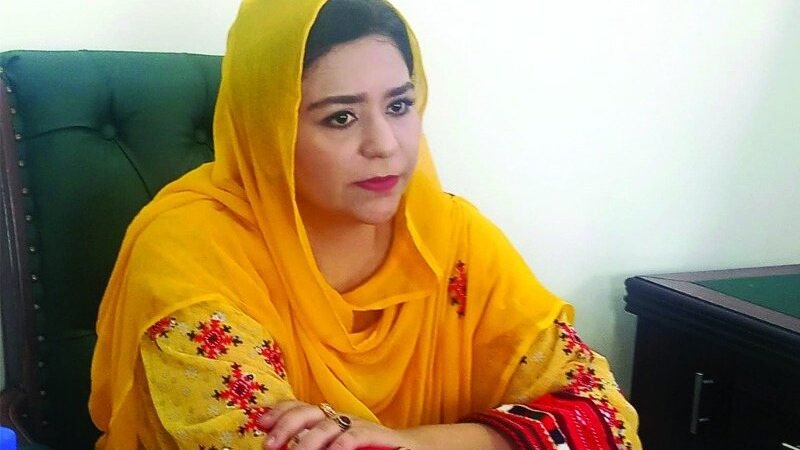 گڈانی شپ بریکنگ ہانگ کانگ کنونشن کی جانب گامزن، کمشنر لسبیلہ سائرہ عطاء کو بی ڈی اے کی بریفنگ