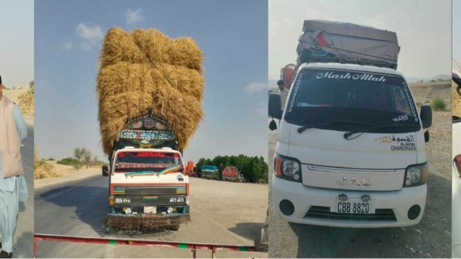 کچھی سبی بائی پاس پر پی ٹی اے اور ٹریفک پولیس کی کارروائی، 26 گاڑیوں کے چالان، 7 بند