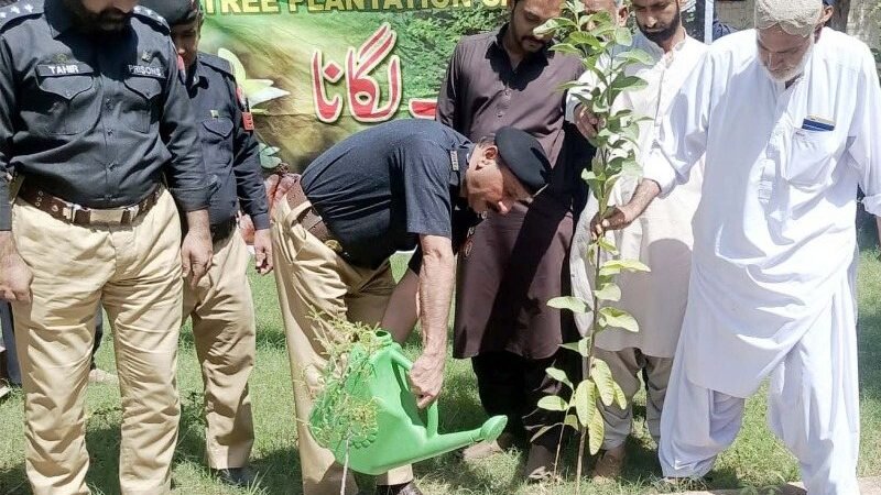 سبی: مون سون شجرکاری مہم کے تحت ڈسٹرکٹ جیل میں پودے لگائے گئے، جنگلات اور جیل حکام کی شرکت