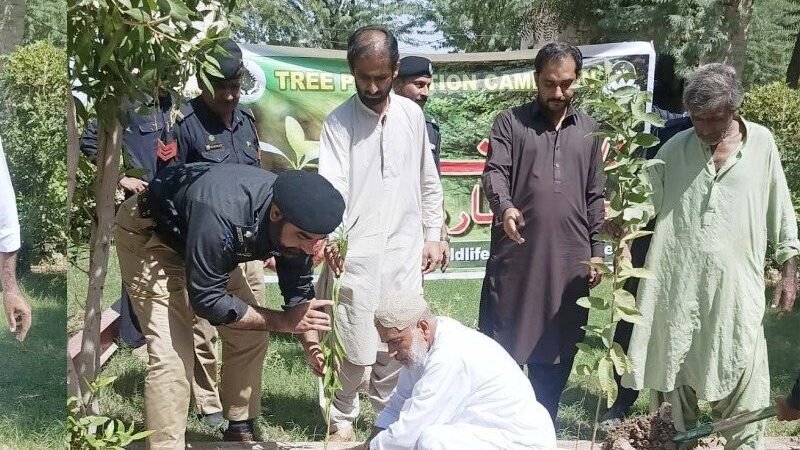سیوی (سبی) کی ڈسٹرکٹ جیل میں مون سون شجرکاری، محکمہ جنگلات اور جیل خانہ جات کے افسران نے پودے لگائے