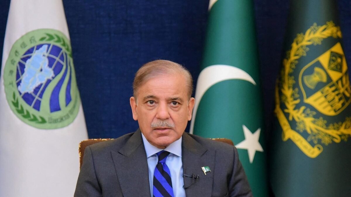 شہباز شریف سے حافظ نعیم الرحمن کی ملاقات، پٹرولیم لیوی کے مکمل خاتمے کا مطالبہ