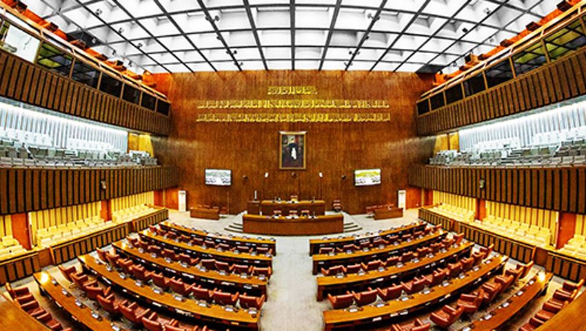 سینیٹ میں تیز رفتار آبادی میں اضافے سے نمٹنے کے لیے قرارداد منظور